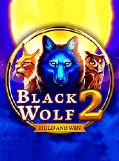Lucky Bingo game cover on ff111